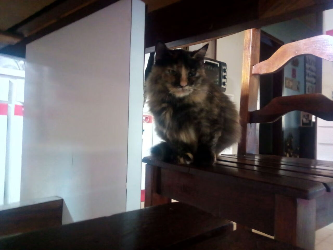 欧冠“十六强逆转”回顾：曾经的焦点战役令人热血沸腾