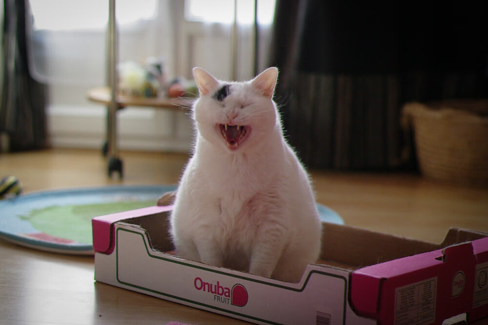 中国三人篮球女队加强控球能力,中国三人篮球女队加强控球能力的训练