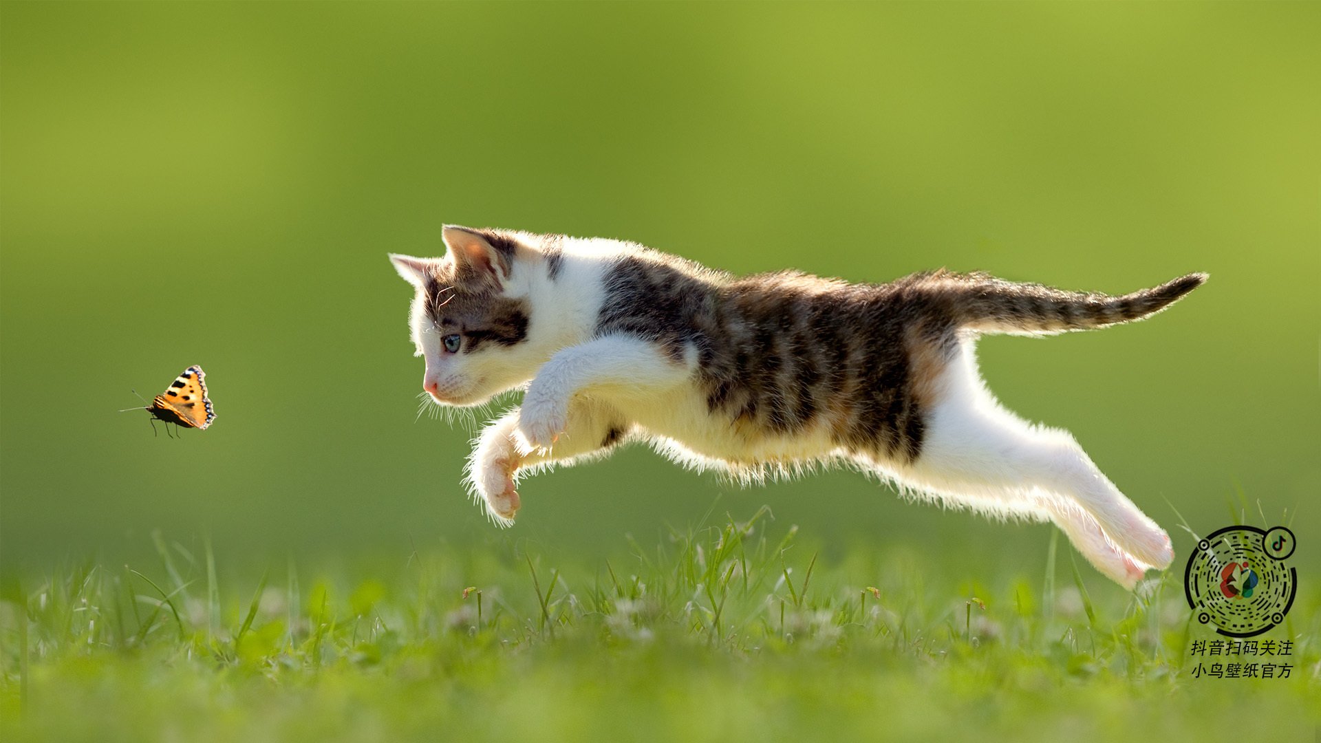 弗兰:全黑队防守端的“重要一环”,他总能在对方进攻时阻挡住威胁