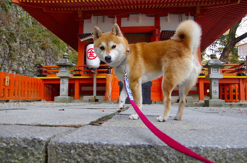 电竞选手训练营开设专项体能课程,电竞选手 训练