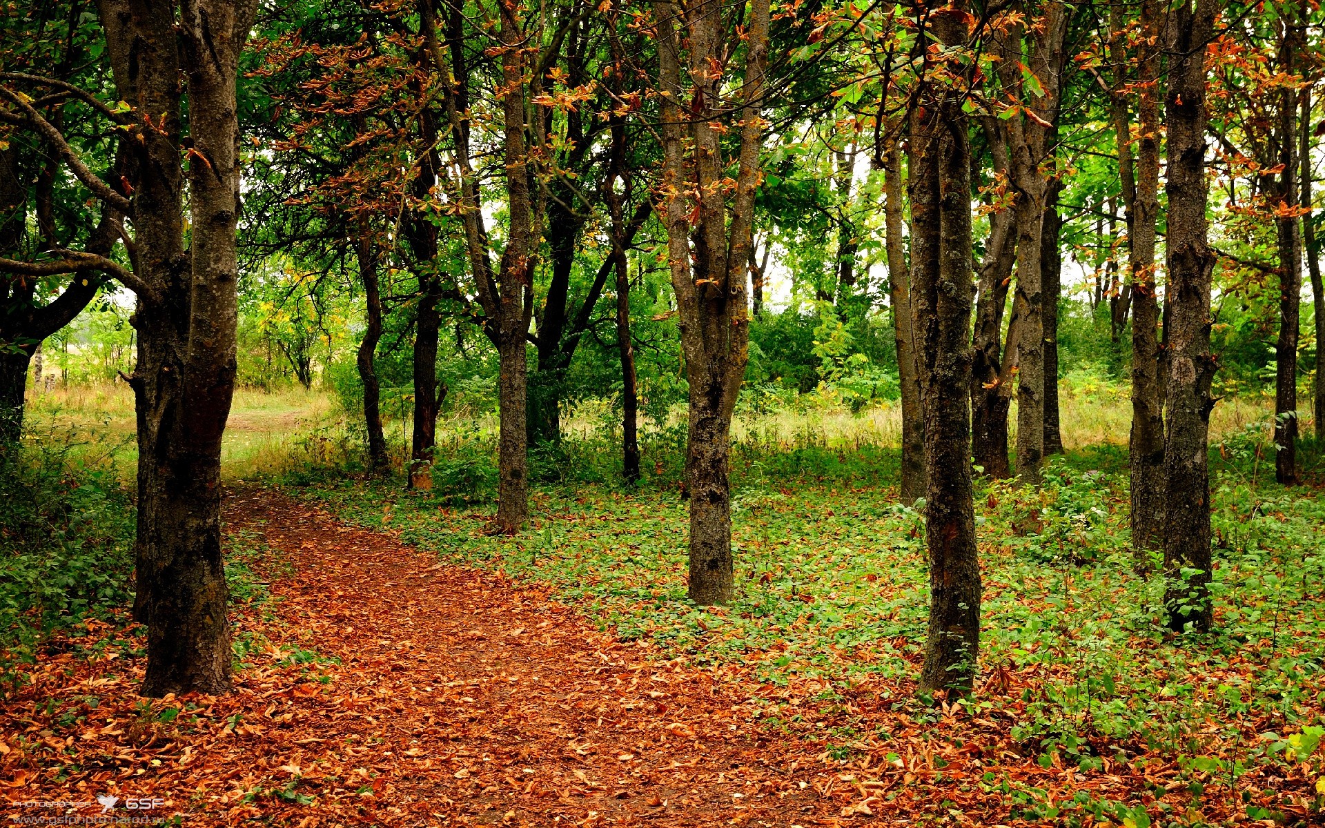 开云体育官网-詹姆斯新纪录引发网友热议，詹姆斯2021