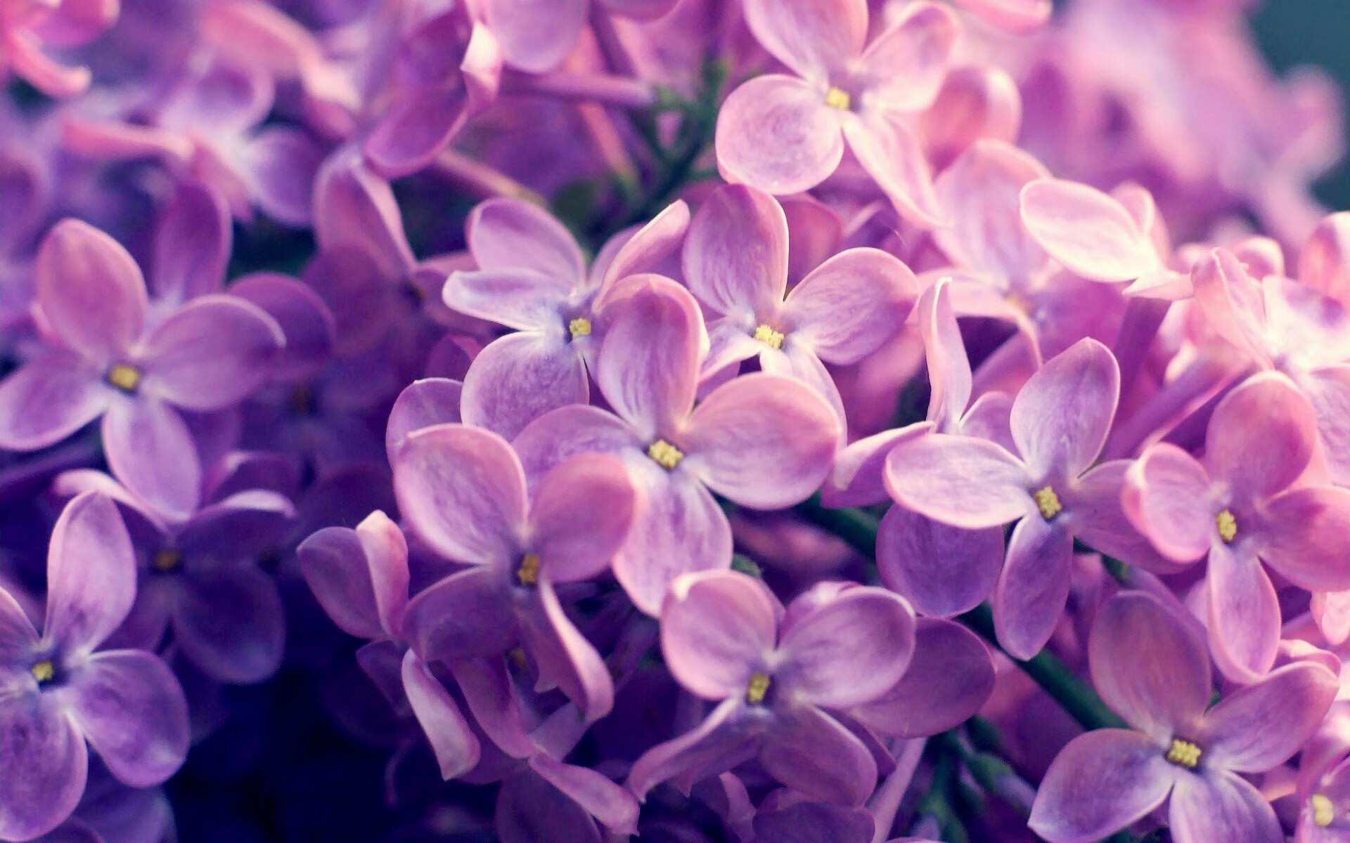 开云体育网站-马克西姆·格鲁塞决赛展现强劲实力，马克西姆利鲁之歌