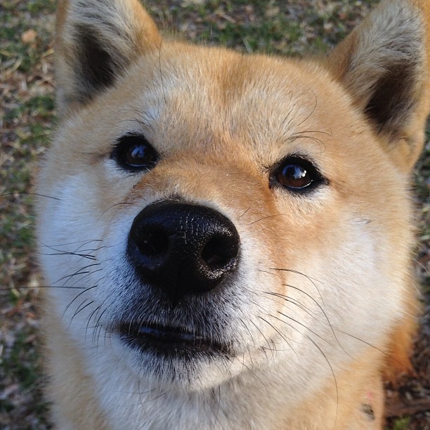 开云官网-高校足球比赛中出现新颖战术引讨论，高校足球发展的目的及意义